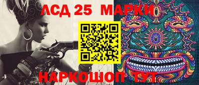 крисы Кимры