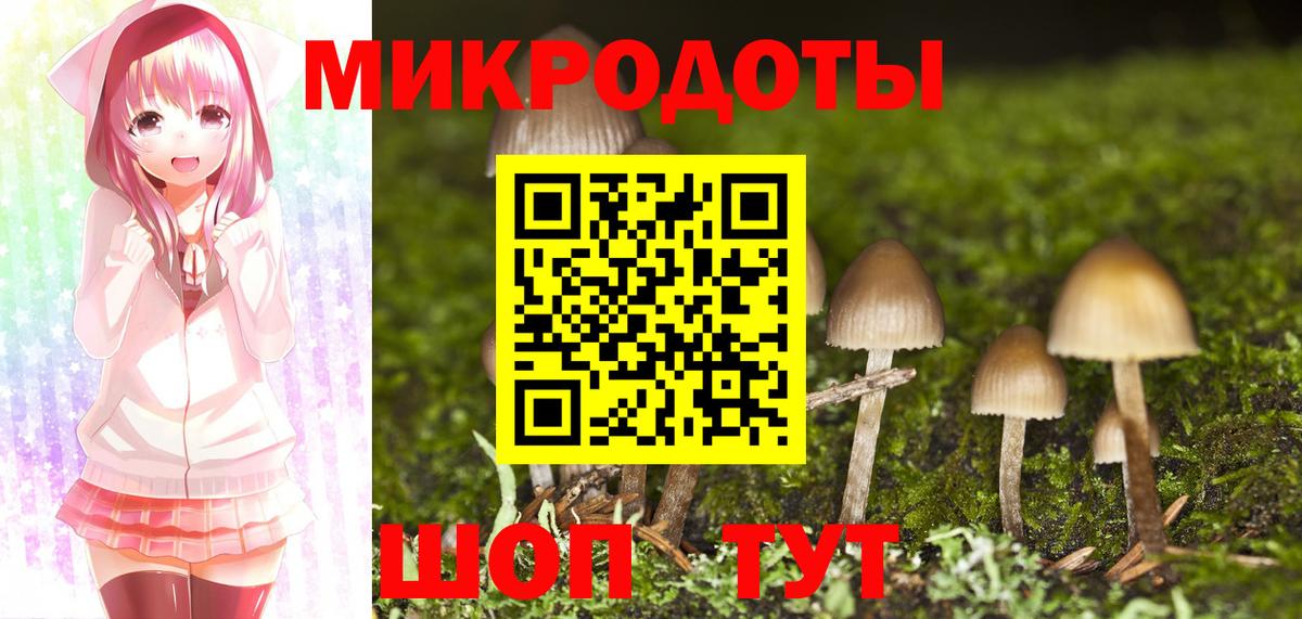 Галлюциногенные грибы мухоморы Скопин